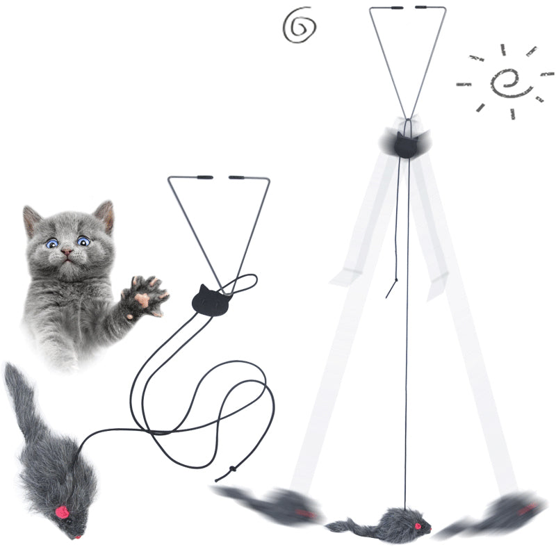 Cat toy with a string and feather, next to a cat reaching out.
