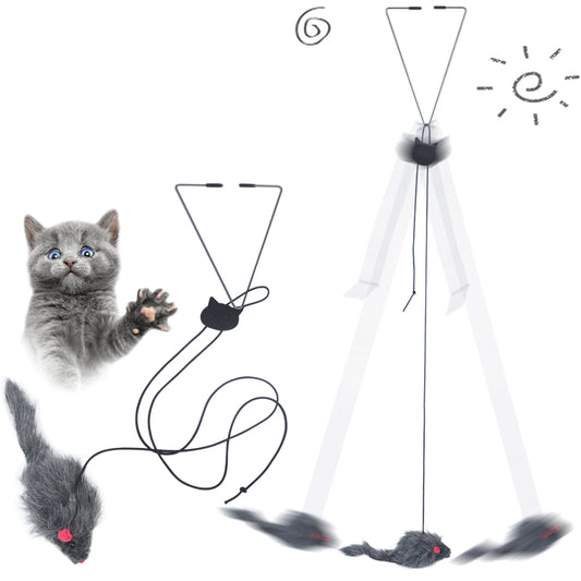 Cat toy with a string and feather, next to a cat reaching out.