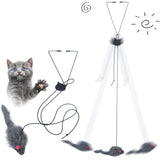 Cat toy with a string and feather, next to a cat reaching out.