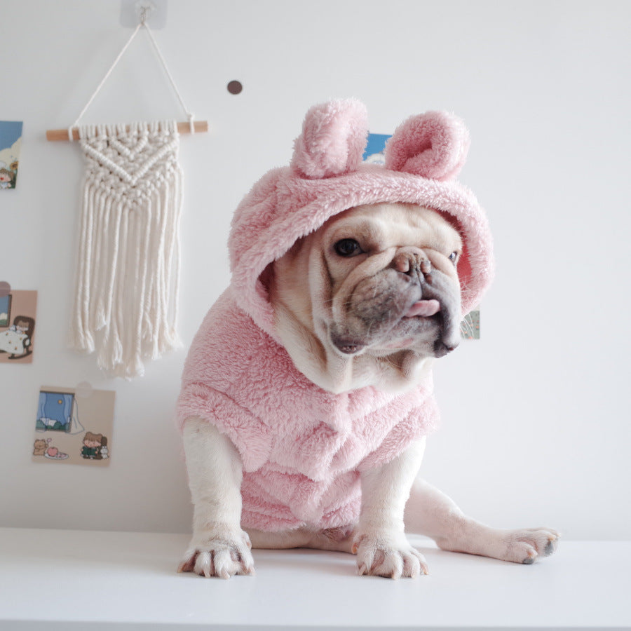 Dog wearing a pink hooded outfit with bear ears on a white background