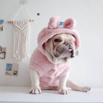 Dog wearing a pink hooded outfit with bear ears on a white background
