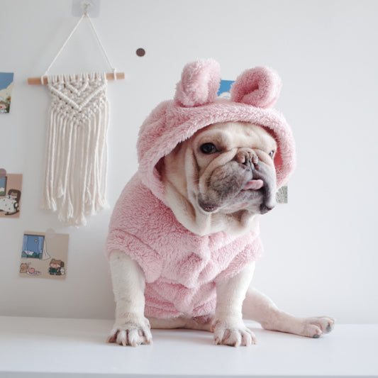 Dog wearing a pink hooded outfit with bear ears on a white background