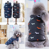 Dog coat with dachshund pattern on a stand and worn by a dog.