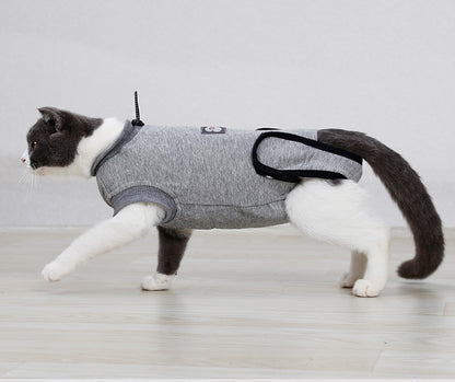 Cat wearing a gray harness on a light wooden floor.