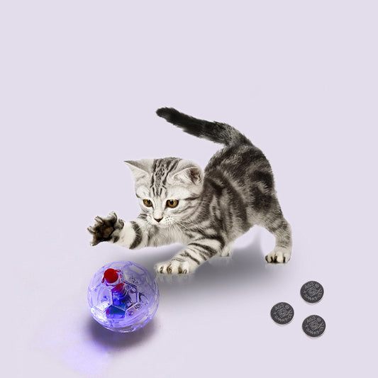 Glowing Transparent Ball Pet Toy