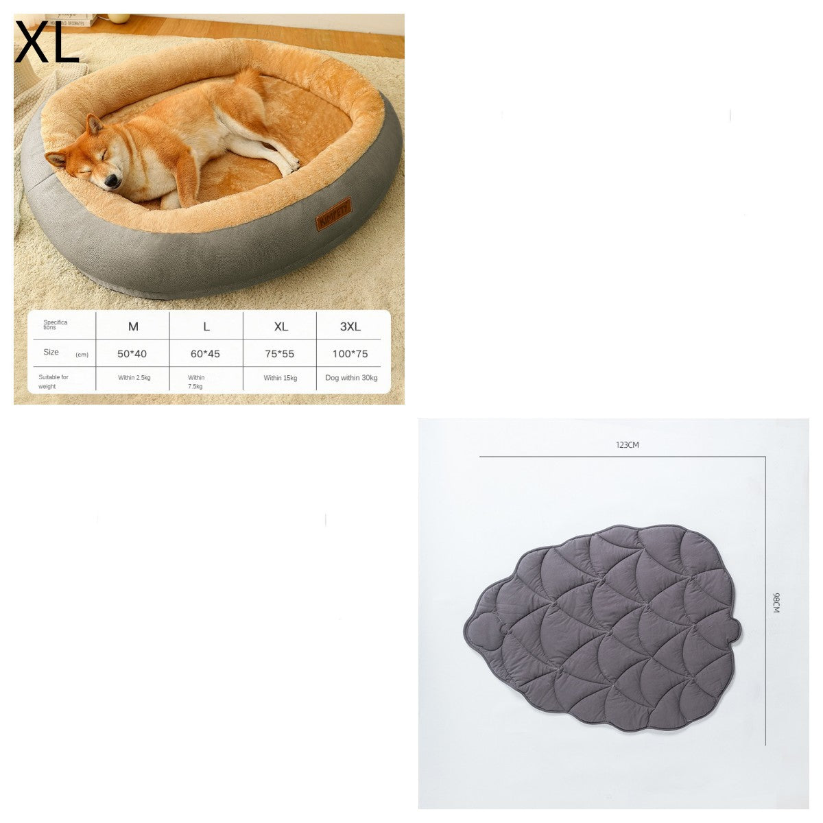 Dog lying in a pet bed with size chart and leaf-shaped cushion on a white background