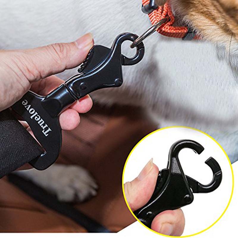 Black pet training device held by a hand with a dog in the background