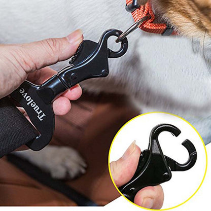 Black pet training device held by a hand with a dog in the background