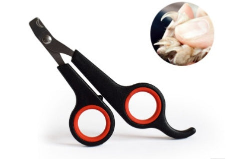 Pet nail clippers with a close-up inset of a pet's paw on a white background
