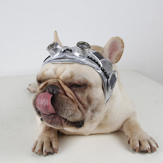 Dog wearing a silver helmet with goggles on a white background