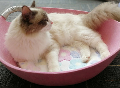 Cat lying on a pink pet bed with floral pattern