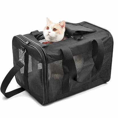 Cat inside a black pet carrier on a white background