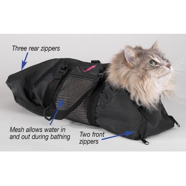 Cat in a black pet carrier with features highlighted on a white background