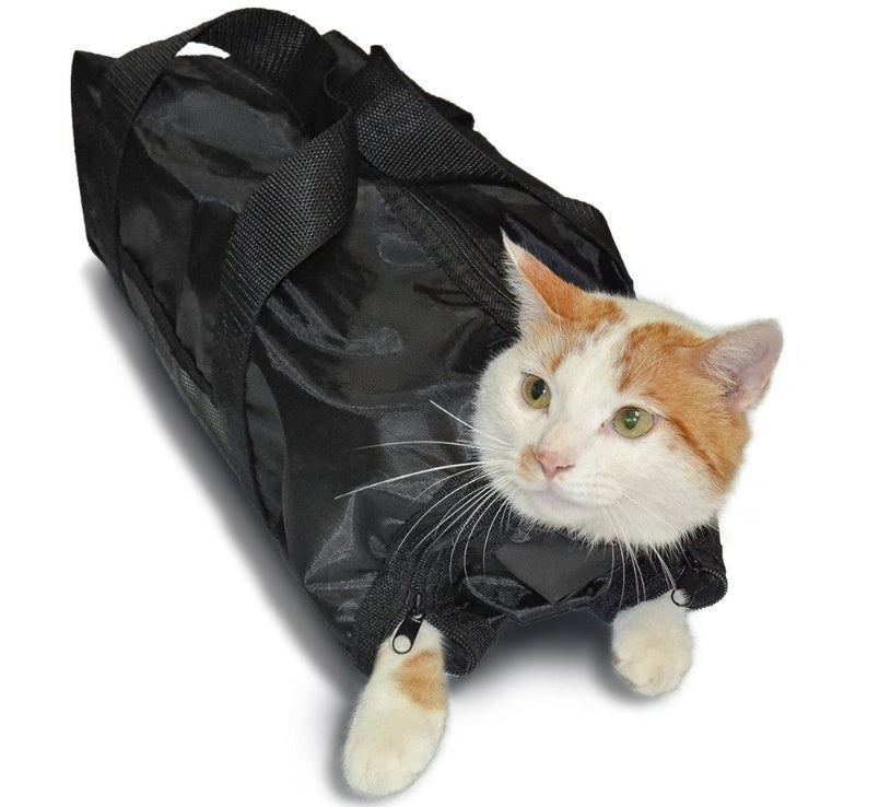 Cat peeking out from a black pet carrier on a white background