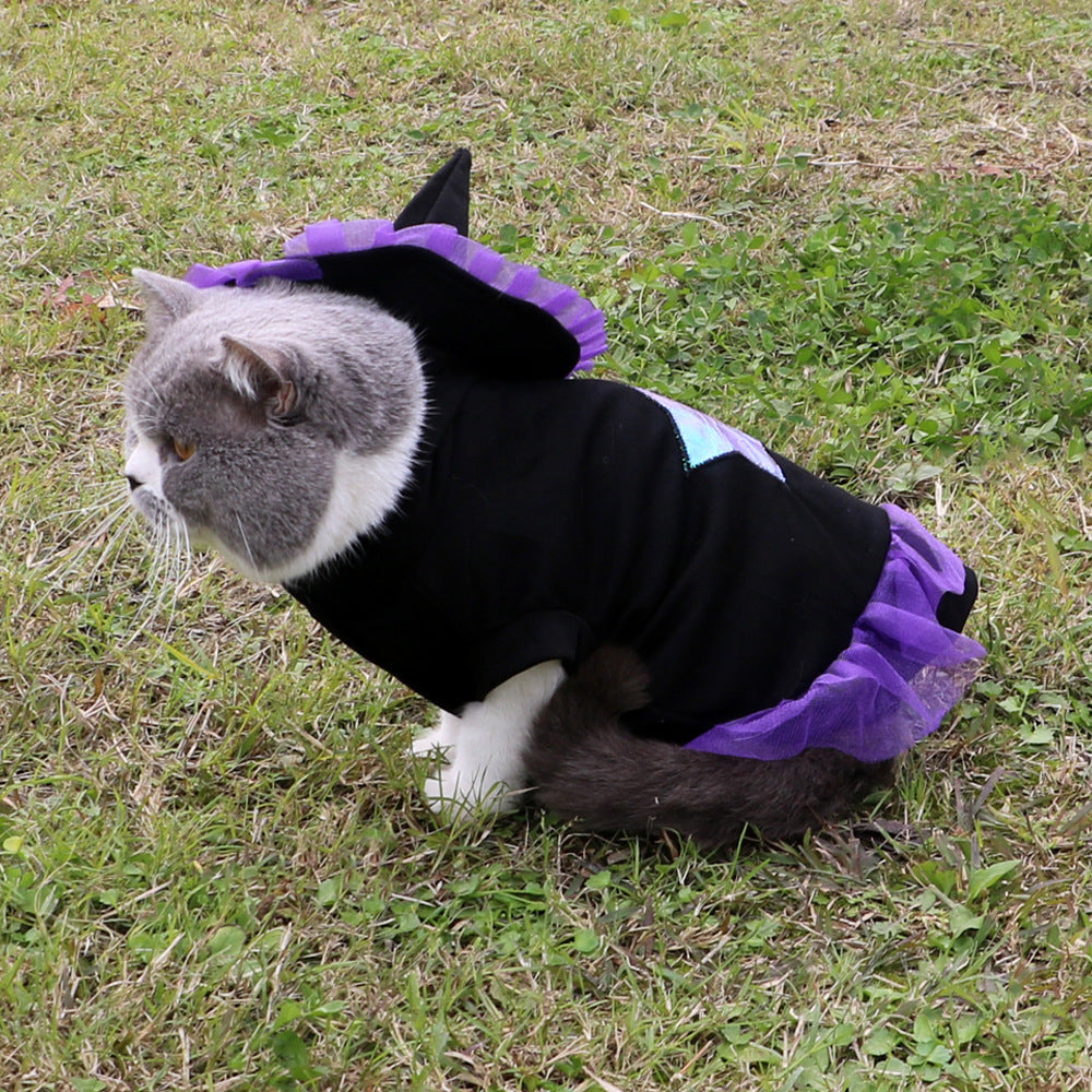 Cat wearing a black and purple costume on grass