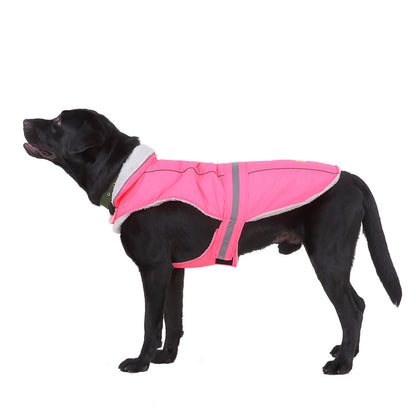 Black dog wearing a pink dog coat on a white background