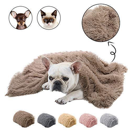 Dog lying on a fluffy brown blanket with close-up of texture and color swatches.