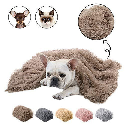 Dog lying on a fluffy brown blanket with close-up of texture and color swatches.