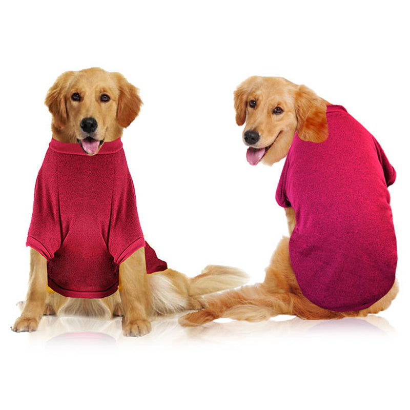 Two dogs wearing red shirts on a white background