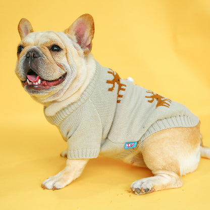 Dog wearing a sweater on a yellow background