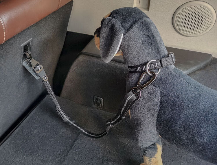 Dog wearing a harness in a vehicle seat