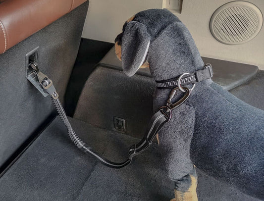 Dog wearing a harness in a vehicle seat