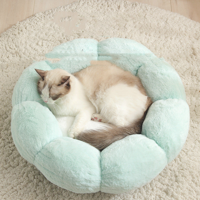 Cat sleeping in a light blue pet bed on a beige carpet