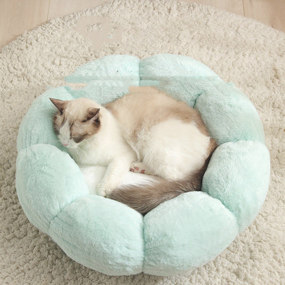 Cat sleeping in a light blue pet bed on a beige carpet