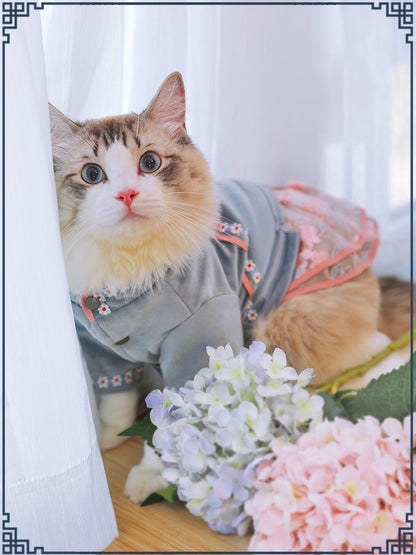 Cat wearing a denim outfit with flowers in the foreground