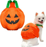 Dog wearing orange plush pumpkin Halloween costume