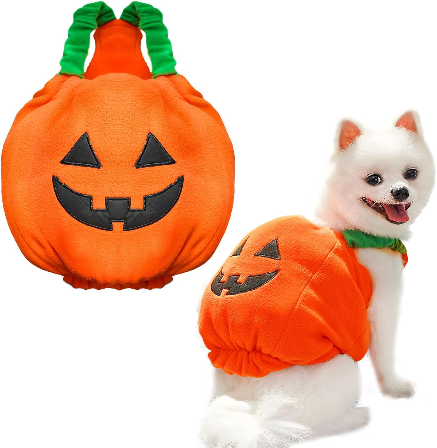 Dog wearing orange plush pumpkin Halloween costume