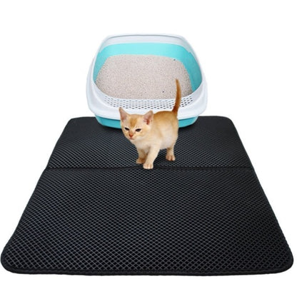 Cat standing on a black mat next to a litter box with a kitten inside on a white background