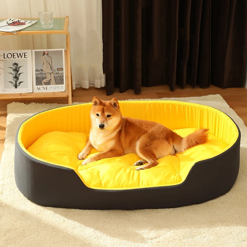 Dog lying on a yellow and black pet bed in a room with a Loewe poster and a curtain.