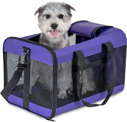 Dog sitting inside a purple pet carrier on a white background