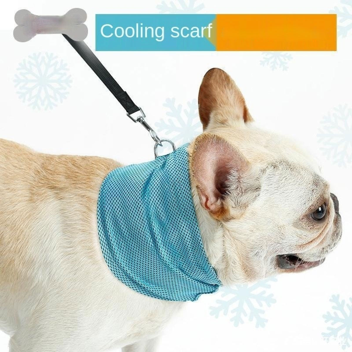 Dog wearing a cooling scarf with a leash, on a light blue background