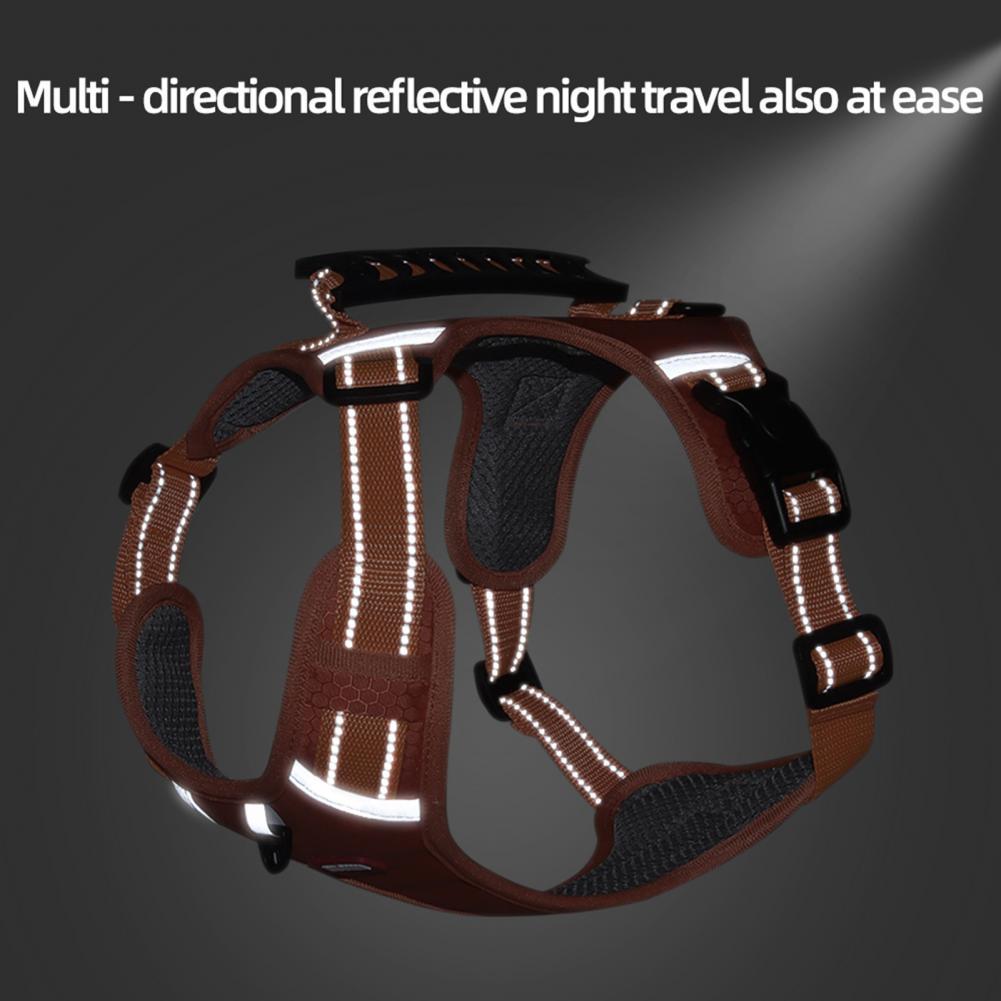 Reflective dog harness with a spotlight on a dark background