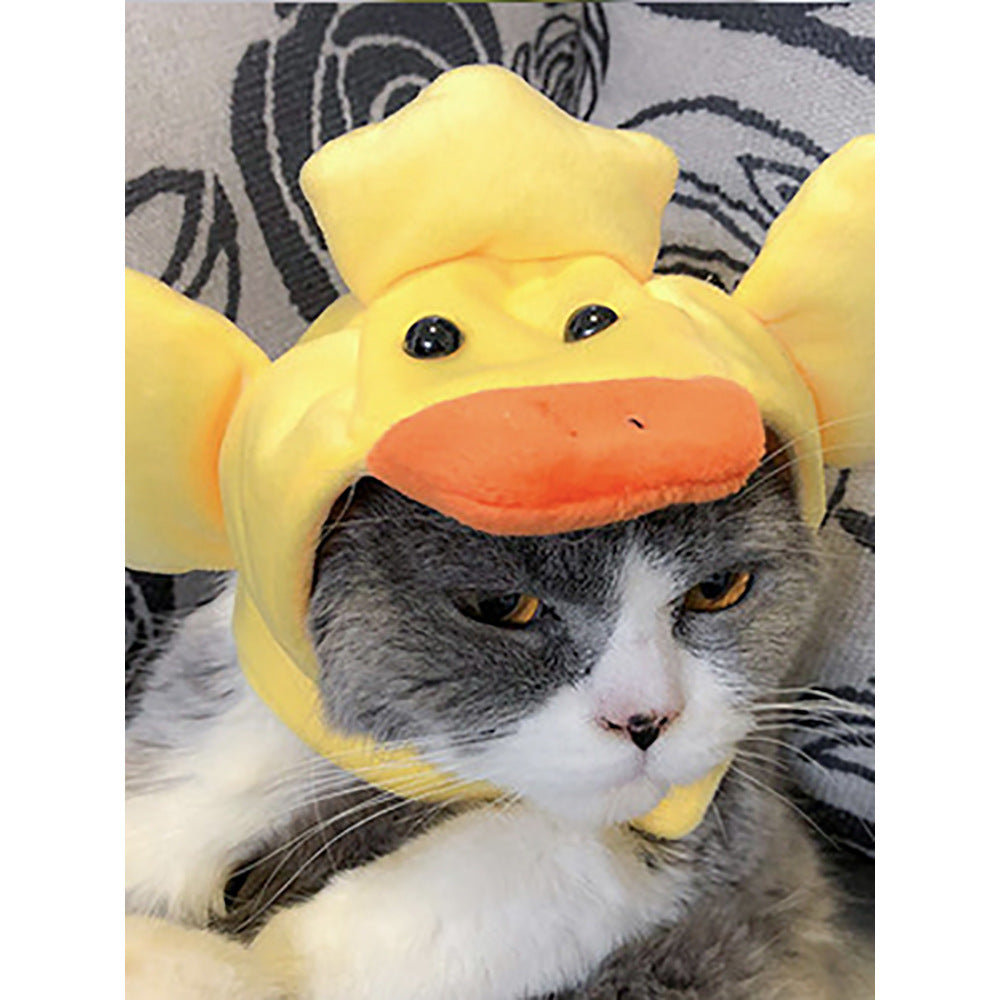 Cat wearing a yellow duck costume with a patterned background