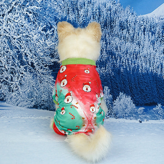 Dog wearing a colorful outfit with a winter landscape in the background