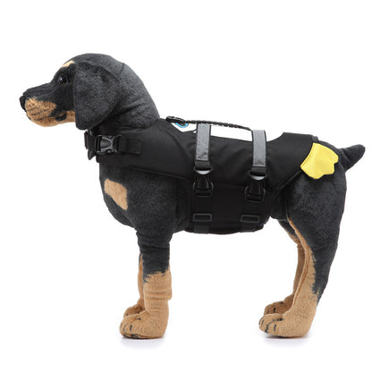 Dog wearing a black coat with a yellow patch on a white background