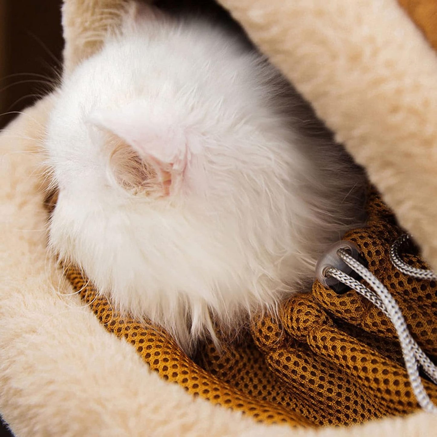 Close-up of a fluffy white rabbit in a beige and brown textured fabric