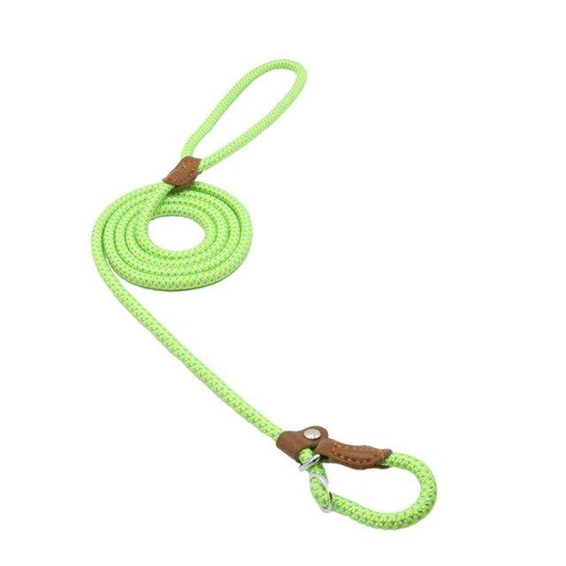 Green dog leash with brown leather loops on a white background