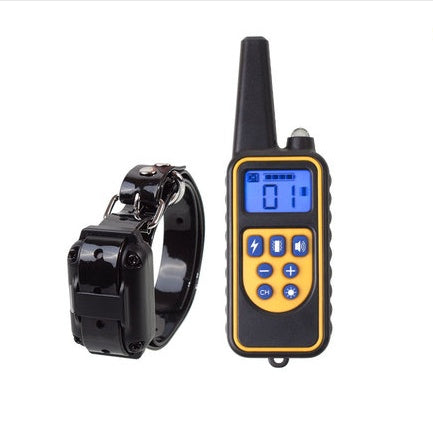 Dog training collar with remote control on a white background