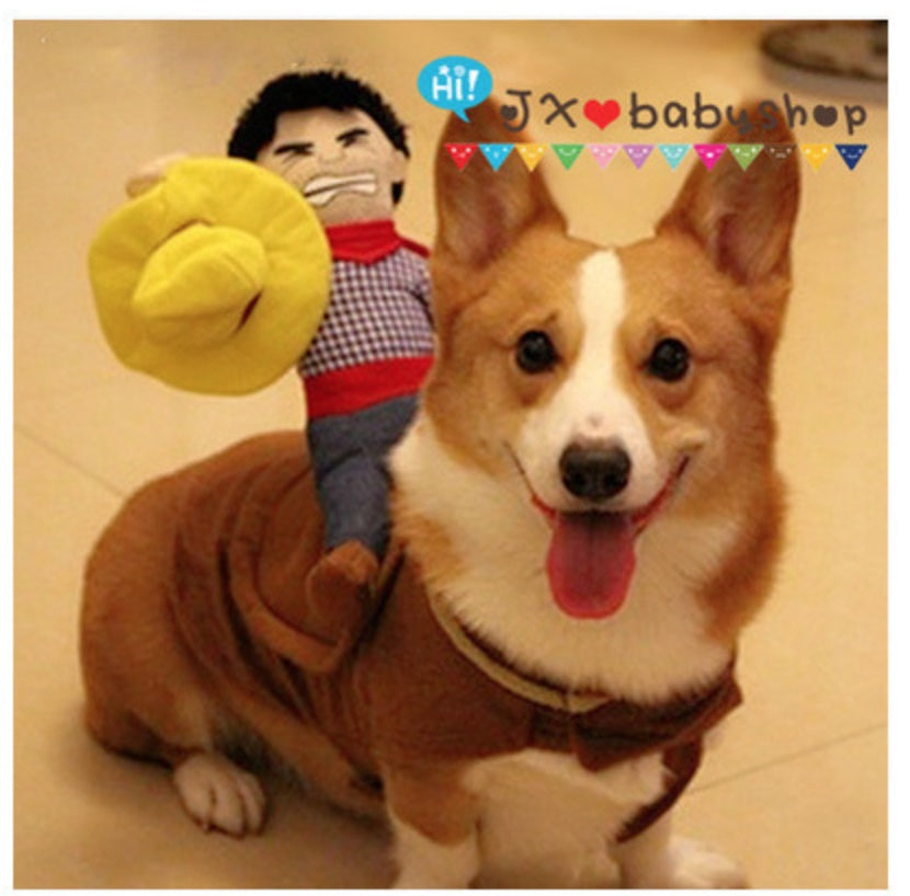 Dog wearing a cowboy costume with a plush toy cowboy on top, on a beige floor.