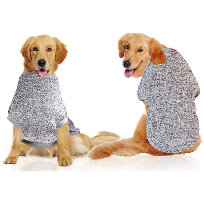 Two dogs wearing gray sweaters on a white background