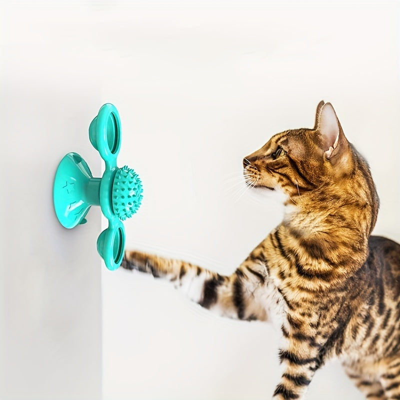 Cat playing with a teal pet toy on a beige background