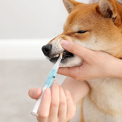 Dog being given a pill by a person with a white background