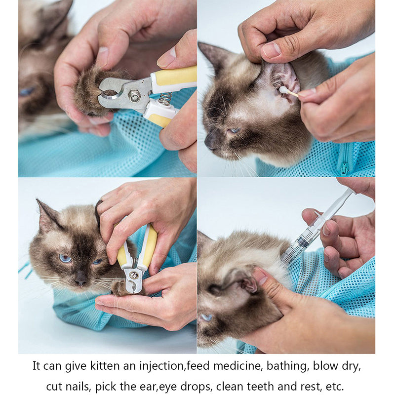 Collage of a person caring for a kitten with various pet care activities.