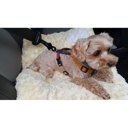Small dog sitting on a fluffy blanket in a car seat with a harness on.