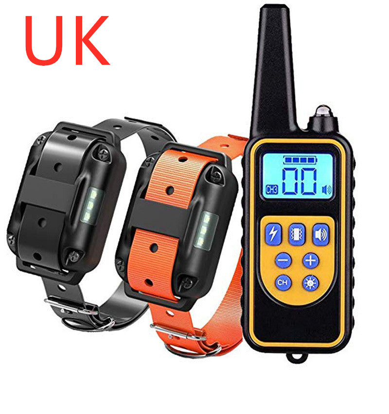 Dog training collar set with remote control on a white background