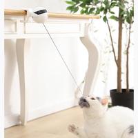 Cat using a laser pointer toy on a wooden floor with a plant in the background